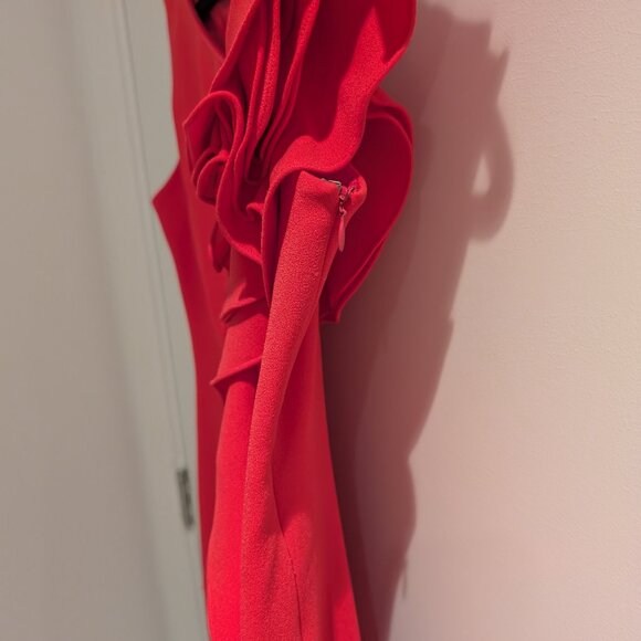 Teri Jon Fuschia Dress - Size 2 - Picture 5 of 6